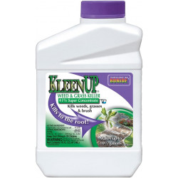 Bonide Products Inc 746 KleenUp, Weed & Grass Killer, 41% Super Concentrate