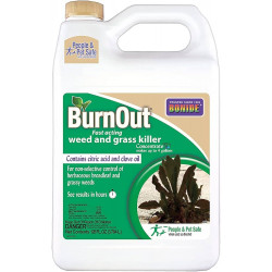 Bonide Products Inc 746 KleenUp, High Efficiency, Weed & Grass Killer, Concentrate