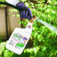 Bonide Products Inc 213 All Seasons, Horticultural & Dormant Spray Oil, Ready-to-Spray, 32 oz.