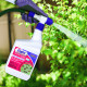 Bonide Products Inc 426 Eight, Insect Control, Yard & Garden, Ready-to-Spray, 32 oz.