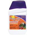 Bonide Products Inc 880 Fung-onil, Multi-Purpose Fungicide, Concentrate, 16 oz.