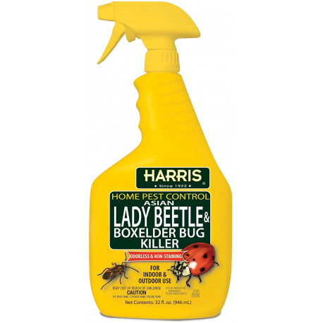 PF Harris HBXA-32 Asian Lady Beetle & Box Elder Bug Killer, 32-oz.