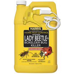 PF Harris HBXA-128 Asian Lady Beetle & Box Elder Bug Killer, 1-Gal.