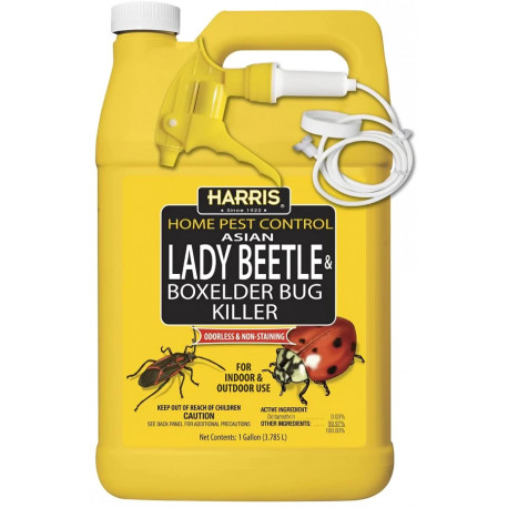 PF Harris HBXA-128 Asian Lady Beetle & Box Elder Bug Killer, 1-Gal.