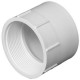 Charlotte Pipe & Foundry Company PVC 00101 1 Schedule 40 DWV Pipe Adapter, PVC, 2 in FPT