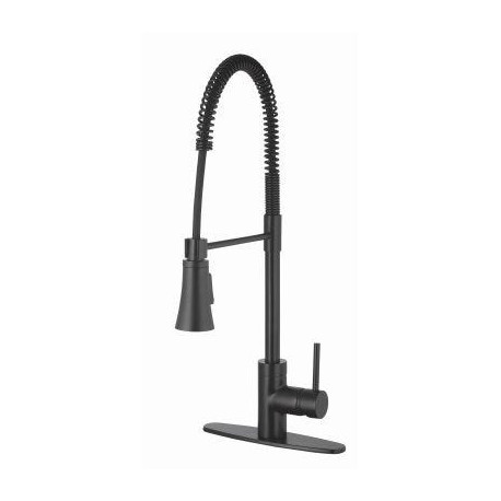 Homewerks Worldwide 109730 Single Handle, Pull-Down Spray Industrial Kitchen Faucet, Matte Black