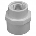 Charlotte Pipe & Foundry Company PVC 02101 3800HA Schedule 40 Reducing Pipe Adapter, Slip x FPT, White, 1 in x 3/4 in