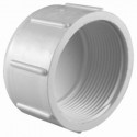 Charlotte Pipe & Foundry Company PVC 02117 1 Schedule 40 Pipe Cap Slip, White PVC