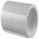 Charlotte Pipe & Foundry Company PVC 02102 1000HA Schedule 40 PVC Threaded Coupling, 1 in FIP
