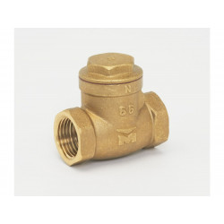 BK Products 240-2 Threaded Swing Check Valve, Brass