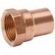 B&K LLC W 61287 Pipe Adapter, 2 In. Copper x Female
