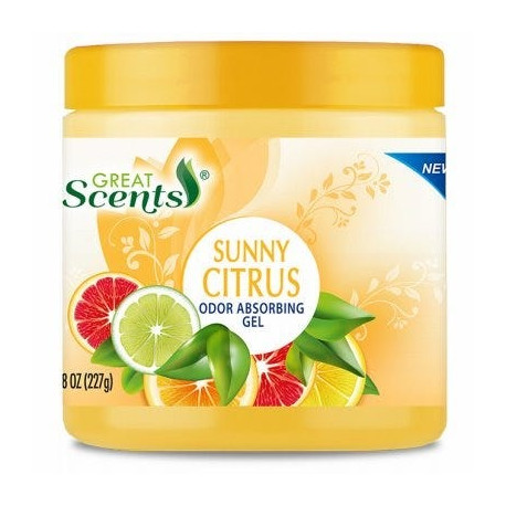 Delta Brands 11933-12 Odor Absorbing Gel, Citrus Fresh, 8 oz