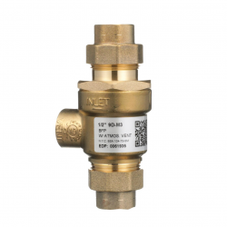 Watts 9D-M3 1/2 Dual Check Valve Backflow Preventer, Bronze, 1/2"