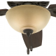 Hunter Fan Company 53091 Builder Deluxe Ceiling Fan, Toffee with Light 52 in