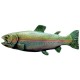 Notting Hill NHP-648-PHT-R NHP-648 Rainbow Trout (Left side Pull 4-1/8 x 1-1/2