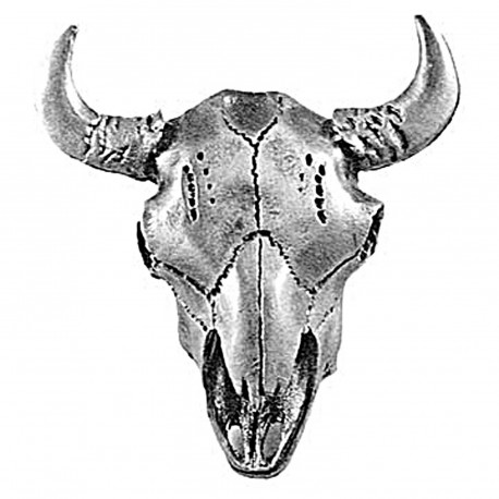 Sierra 68118 SIERRA-681182 Buffalo Skull Knob