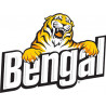 Bengal Chemical Inc